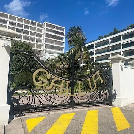 Apartment Superbe Proche Palais Et Plages A Pieds