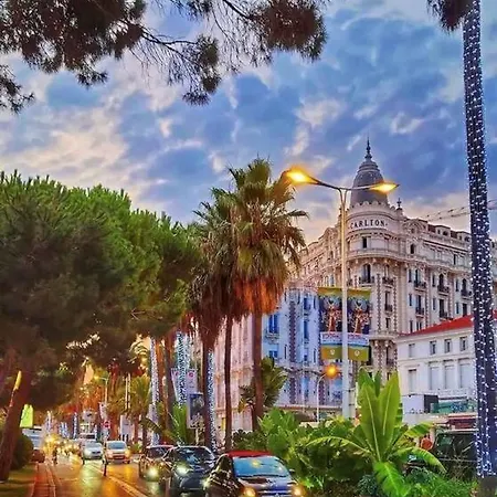 Apartment Superbe Proche Palais Et Plages A Pieds Cannes